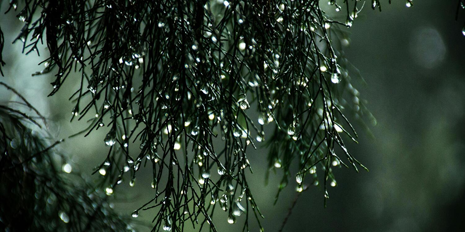 Binnenactiviteiten in Nunspeet en omgeving bij slecht weer