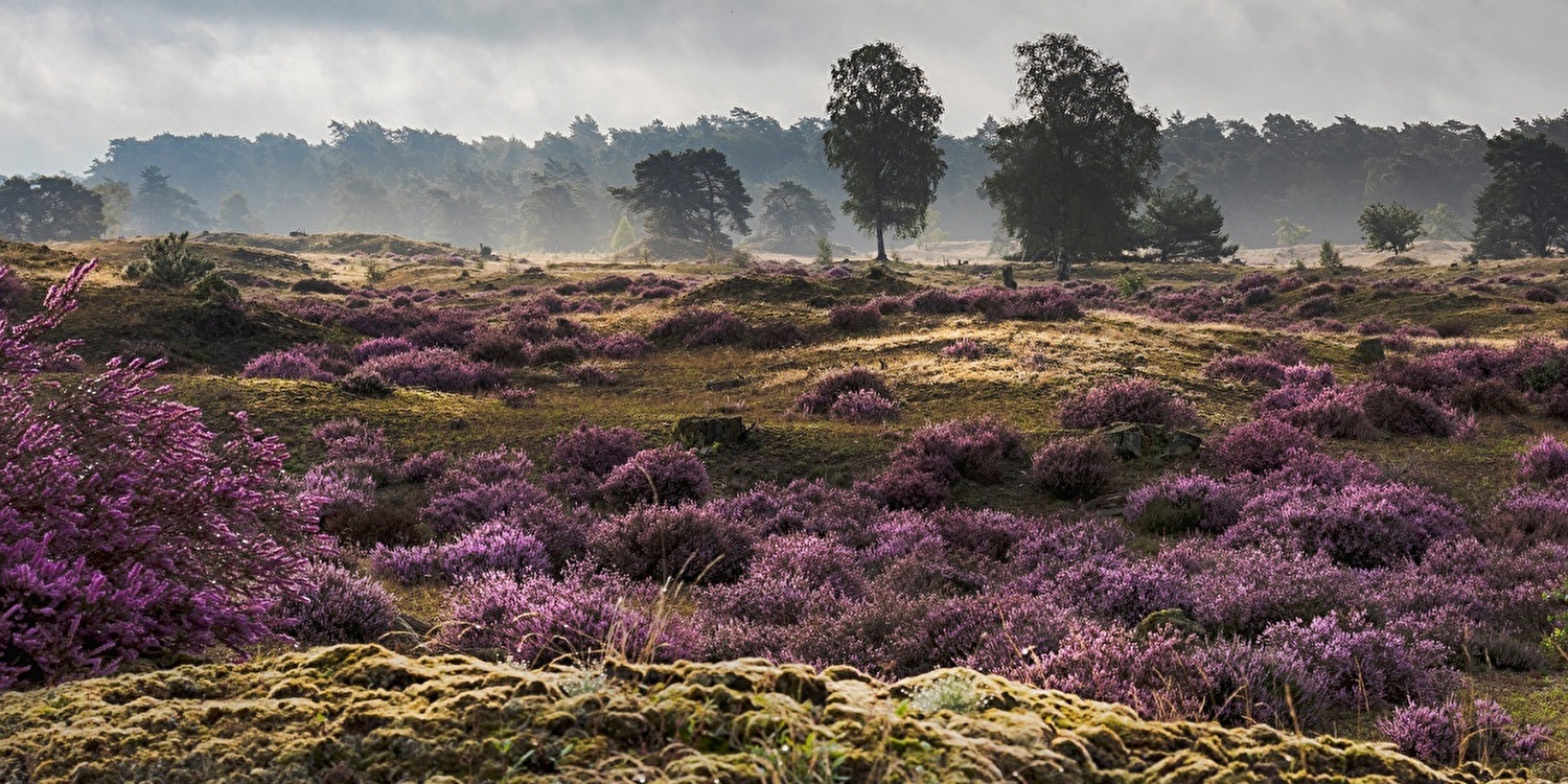 Trouwen in elk seizoen: wat je moet weten over lente-, zomer-, herfst- en winterbruiloften