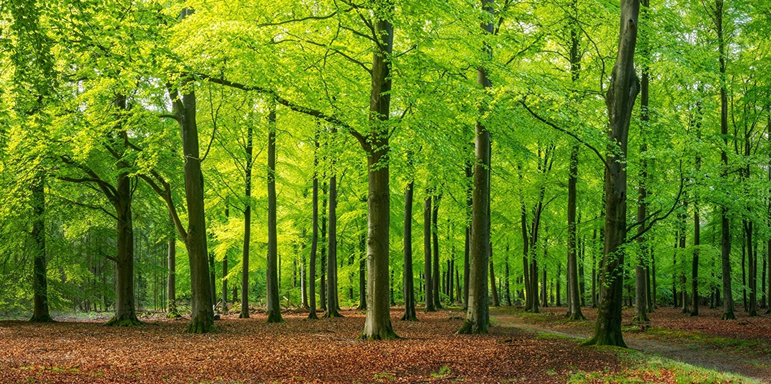 Weekendje weg veluwe