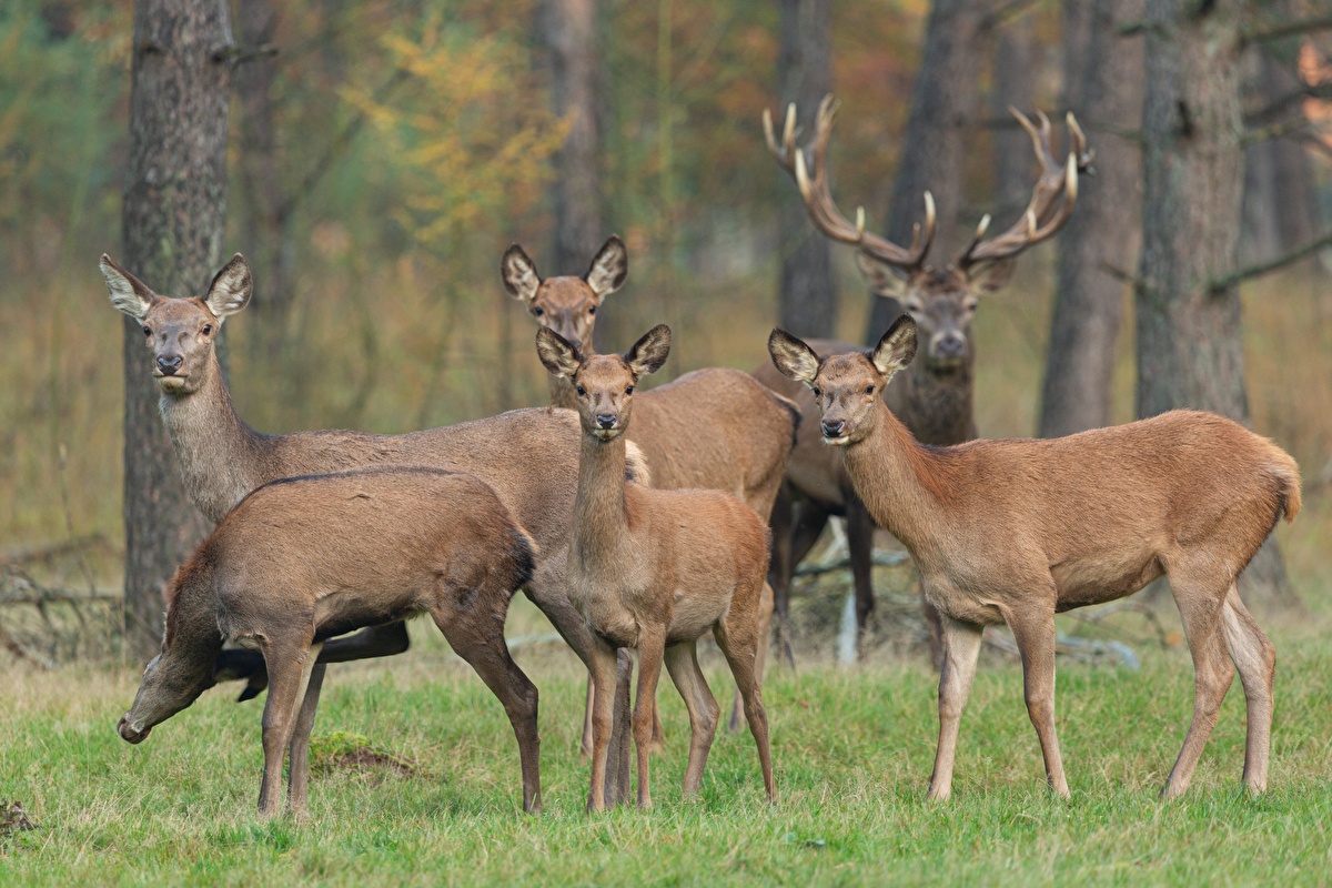 Bijzondere overnachtingen op de veluwe