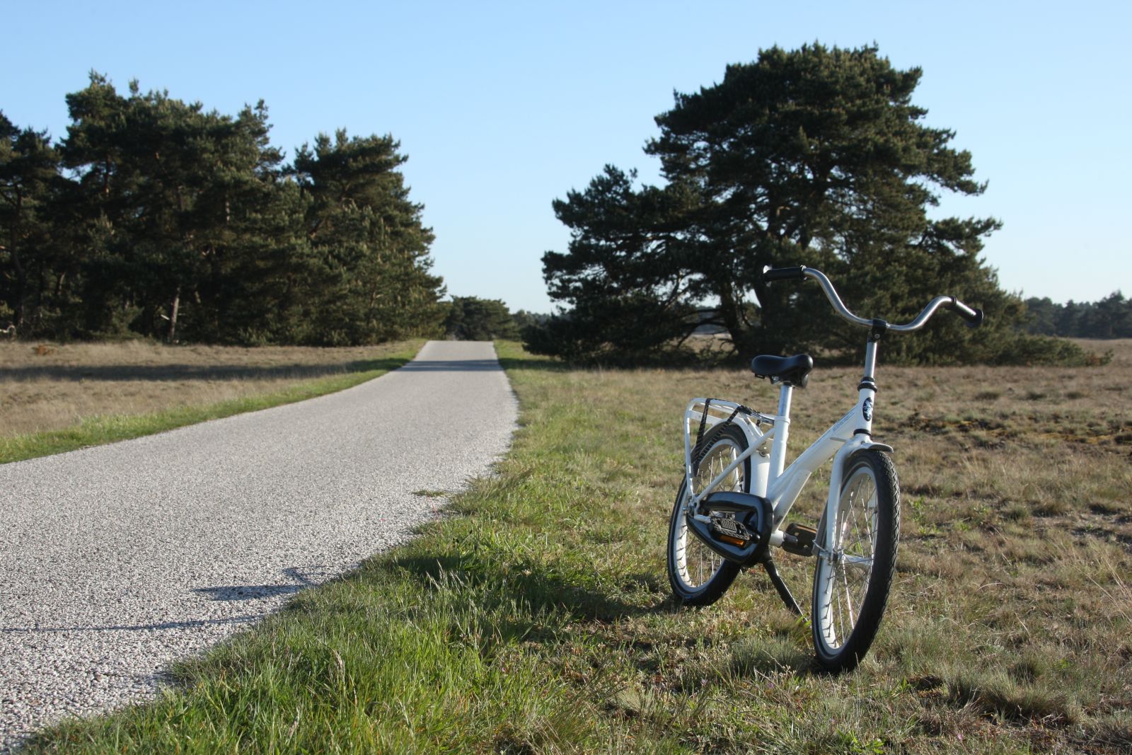 Fiets hotel Veluwe