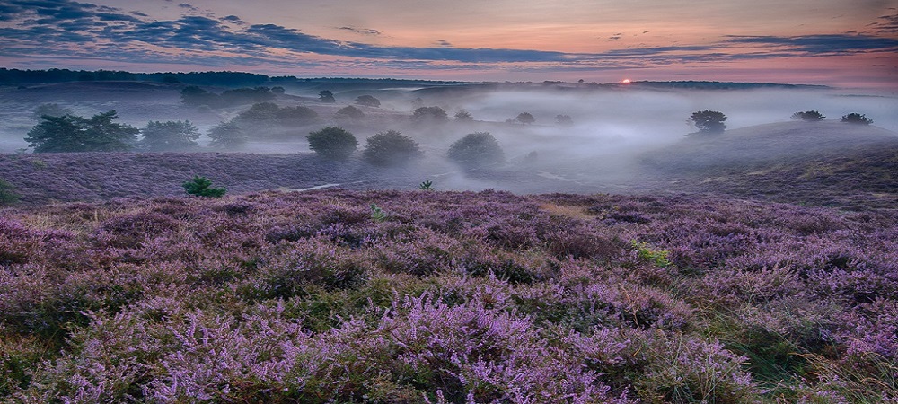 Fietsvakantie Veluwe